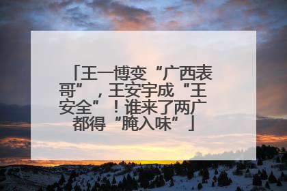 王一博变“广西表哥”，王安宇成“王安全”！谁来了两广都得“腌入味”